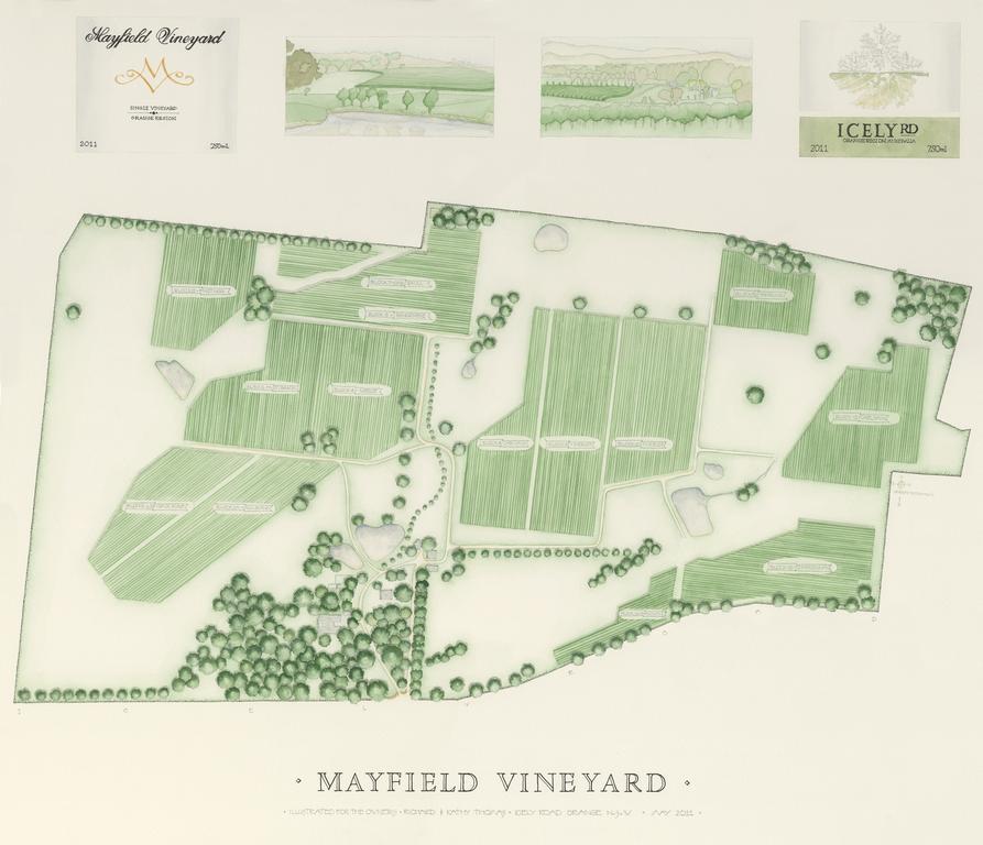 Mayfield Vineyard Orange Ngoại thất bức ảnh