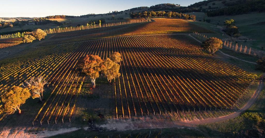Mayfield Vineyard Orange Ngoại thất bức ảnh